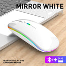 Bluetooth Wireless Mouse for PC and Tablet